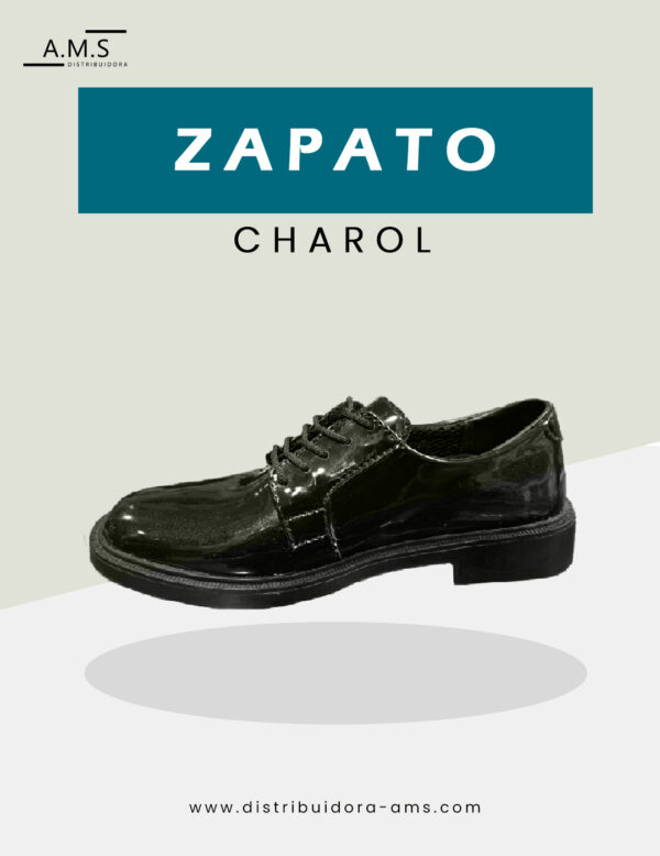 Zapatos de Charol